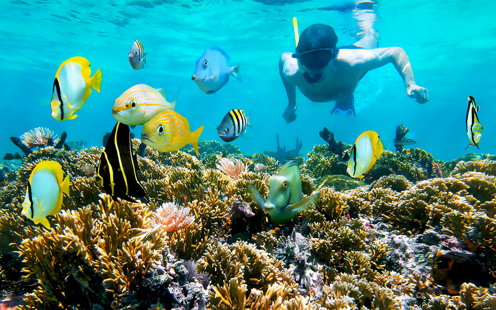 Orange Bay Snorkeling Experience In Hurghada With Transfers Lunch