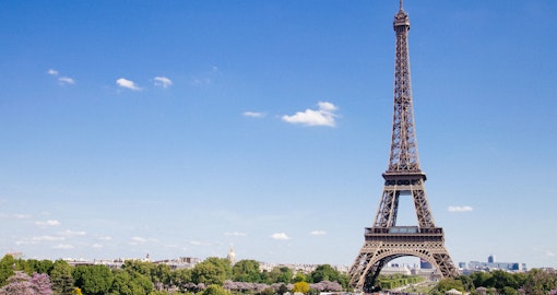 Eiffel Tower Priority Access with Host & Summit Access Option