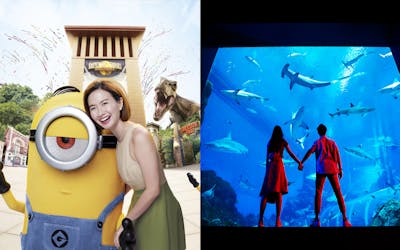 Super Saver Combo: Universal Studios Singapore + S.E.A. Aquarium™
