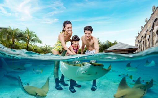 Sentosa FUN Pass with Transfers