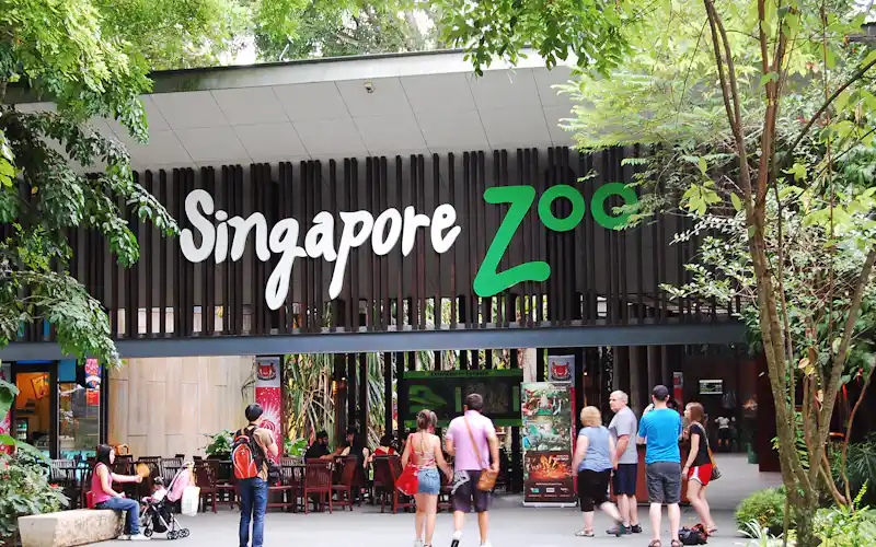 singapore zoo