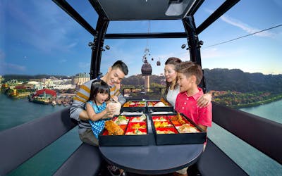 Singapore Cable Car Dining Experience