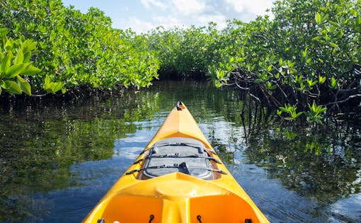 Singapore Kayaking Experience