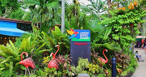 Indian Curry Garden Set Lunch at Jurong Bird Park