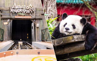 Super Saver Combo: Singapore Zoo + River Safari