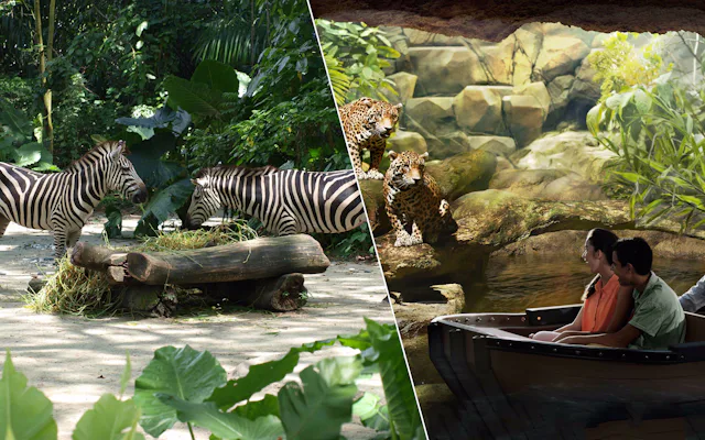 river safari singapore zoo