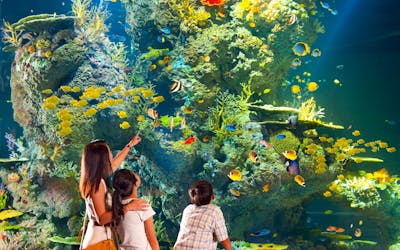 S.E.A Aquarium™ Tickets