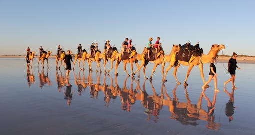 Camel Trekking with Private Transfers