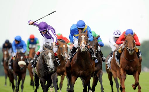 Wednesday Horse Races Crawl