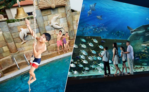 Marine Life Park Ticket: S.E.A Aquarium + Adventure Cove Waterpark