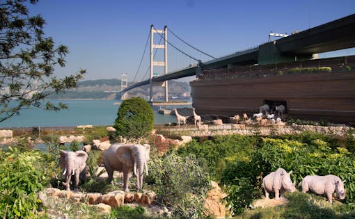 Noah's Ark