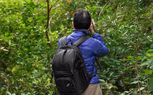 Nature Photowalk