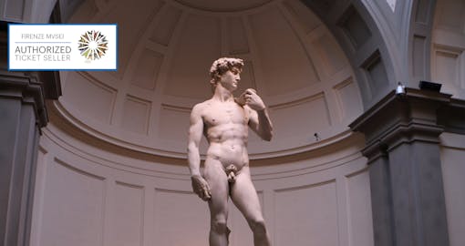 Priority Entrance Tickets to the Accademia Gallery and Michelangelo's David
