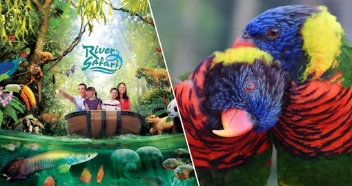 Super Saver Combo: River Safari + Jurong Bird Park