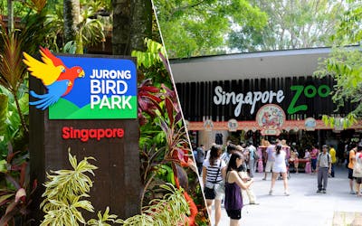 Super Saver Combo: Jurong Bird Park + Singapore Zoo