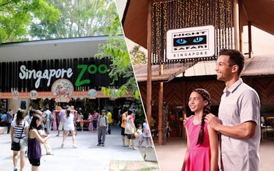 Super Saver Combo: Singapore Zoo + Night Safari