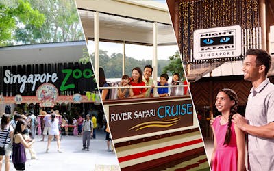 Super Saver Combo: Singapore Zoo + River Safari + Night Safari