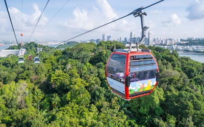 Cable Car Ride Round-Trip with Lunch/Dinner