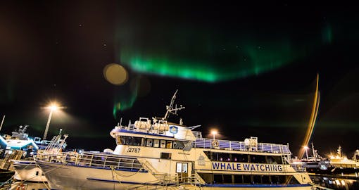 Northern Lights by Boat