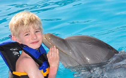 dolphin encounter at six flags-0 dolphin encounter at six flags-0