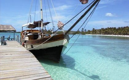 contoy island tour from cancun-1 contoy island tour from cancun-1