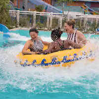 wild wadi rides dubai