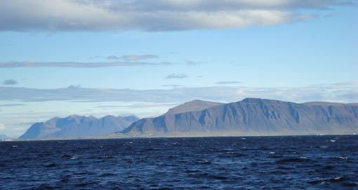 Reykjavik Harbour Boat Tour