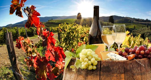 The Best of Chianti Classico Tour, with three medieval Villages, two Wineries and a Typical Tuscan Dinner