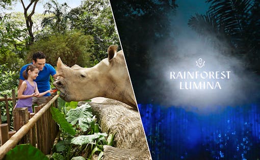Super Saver Combo: Rainforest Lumina + Singapore Zoo