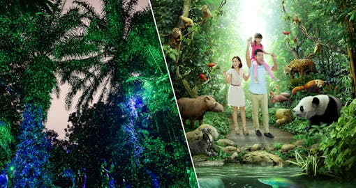 Super Saver Combo: Rainforest Lumina + River Safari