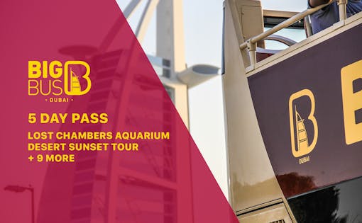Deluxe Ticket - Big Bus 5 Day Hop-On-Hop-Off Bus Tour