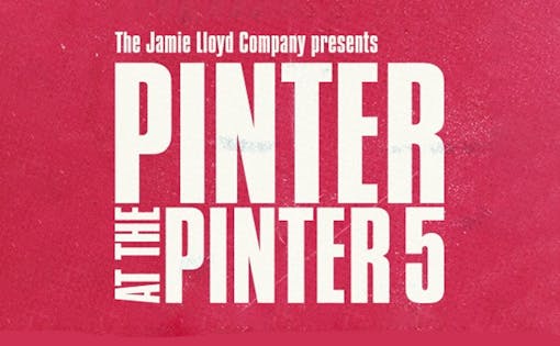 Pinter 5: The Room/Victoria Station/Family Voices