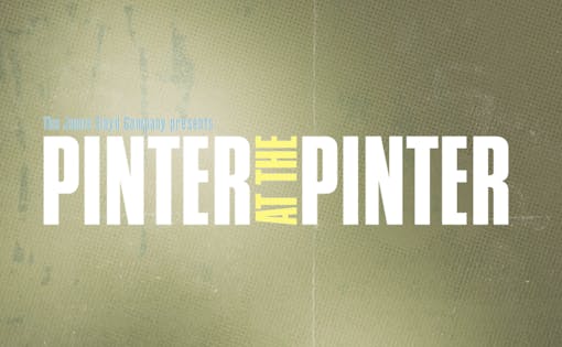 Pinter 6: Party Time/Celebration