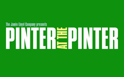 Pinter 7: A Slight Ache/The Dumb Waiter