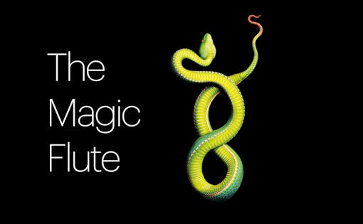 The Magic Flute