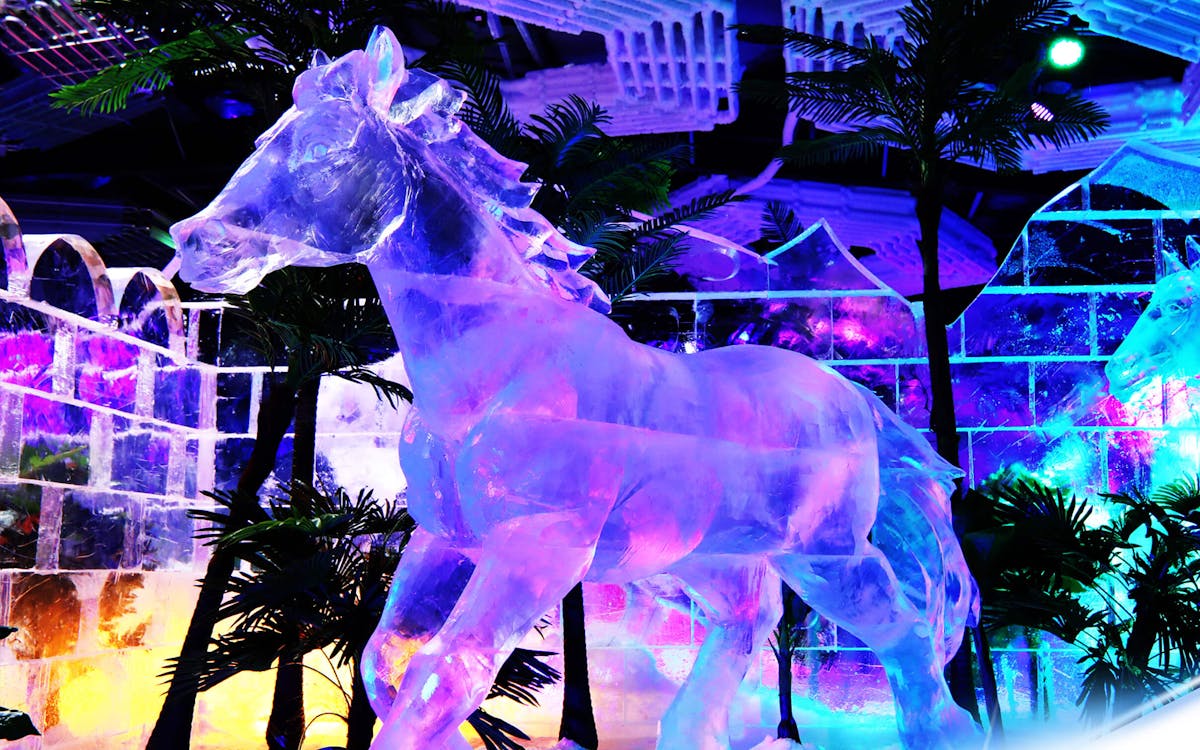 dubai garden glow + ice park-0 dubai garden glow + ice park-0