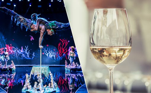 WOW Show with Drinks