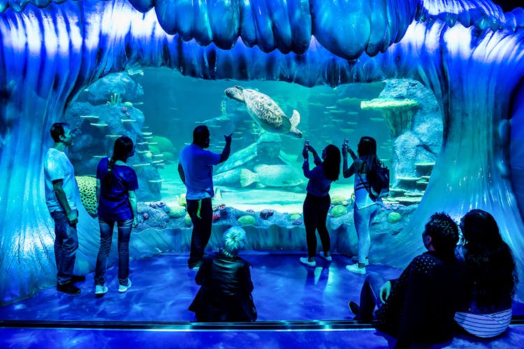 Sydney Aquarium