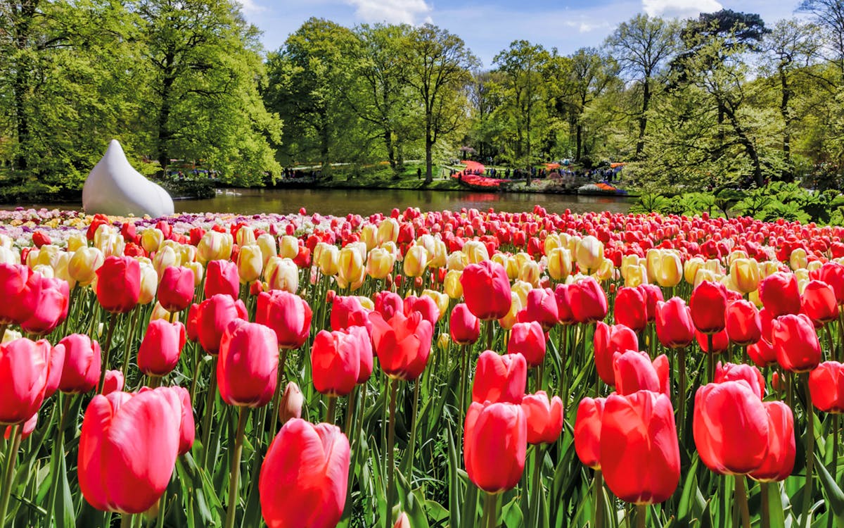 keukenhof tickets & roundtrip from amsterdam + 1 hr canal cruise-0 keukenhof tickets & roundtrip from amsterdam + 1 hr canal cruise-0