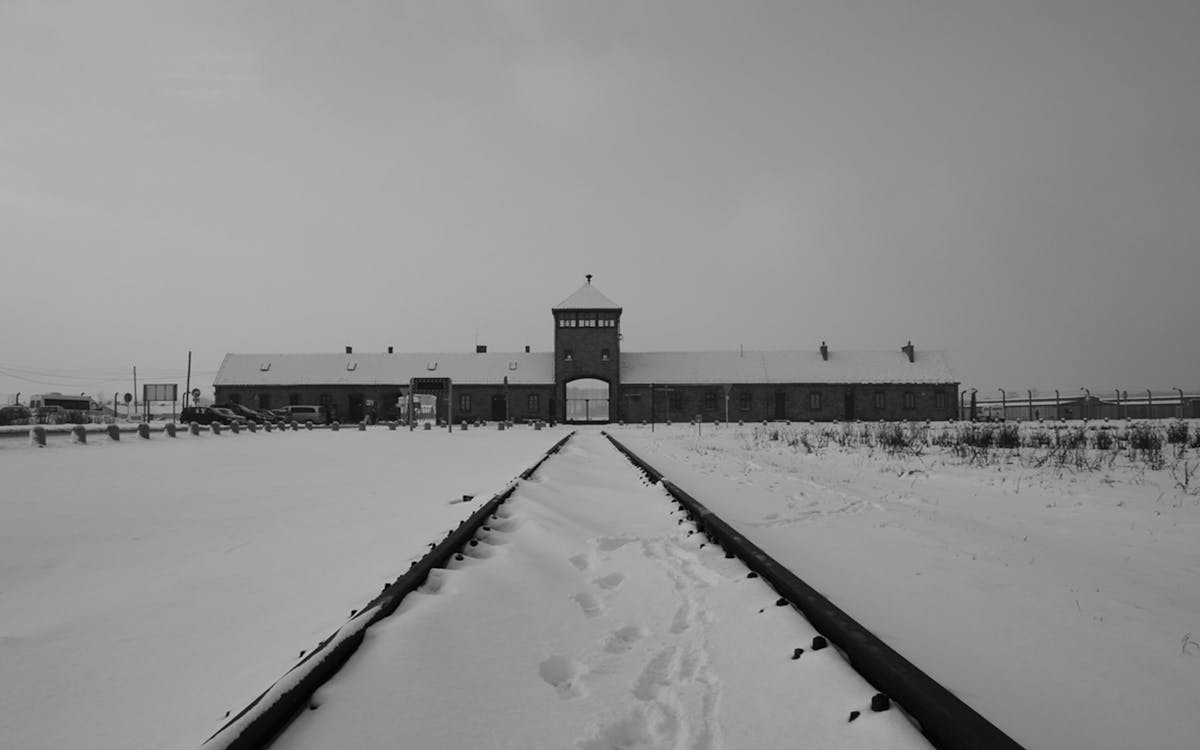 guided auschwitz birkenau museum tour from krakow-0 guided auschwitz birkenau museum tour from krakow-0