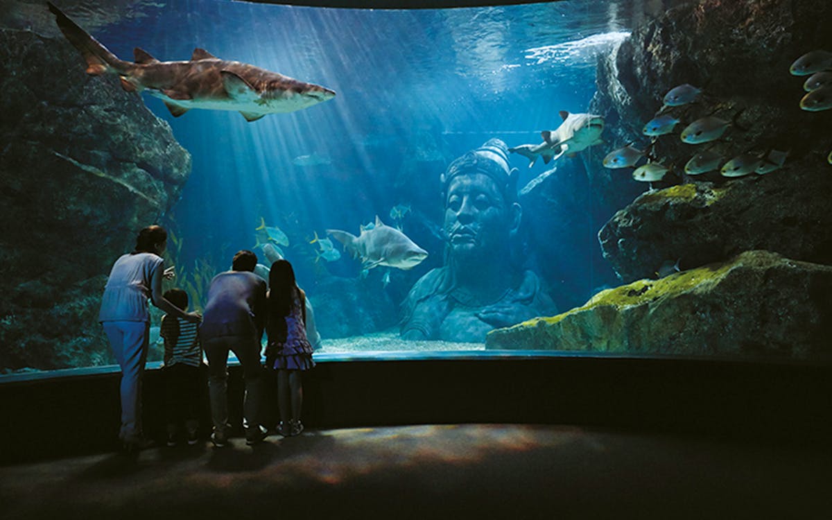 skip the line tickets:sea life bangkok ocean world-1 skip the line tickets:sea life bangkok ocean world-1