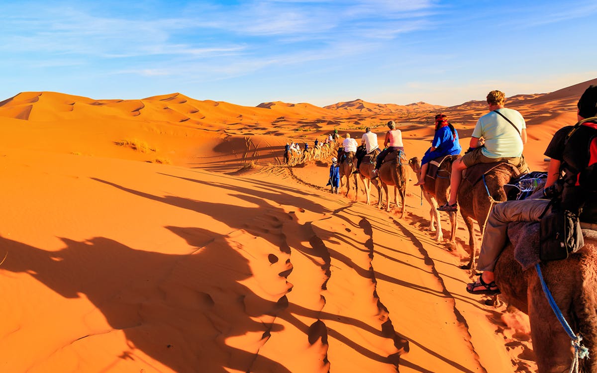 premium sunrise camel trek with breakfast-1 premium sunrise camel trek with breakfast-1