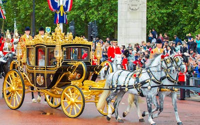 The Royal Mews at Buckingham Palace Entrance Ticket