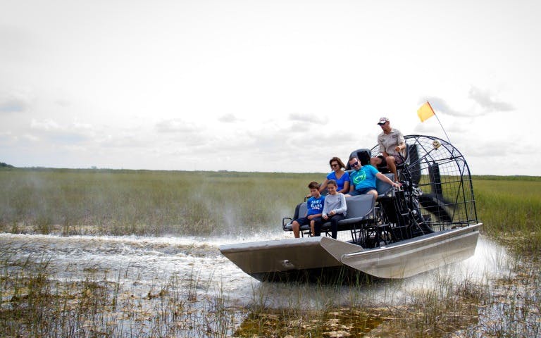 airboat gator tour-0 airboat gator tour-0