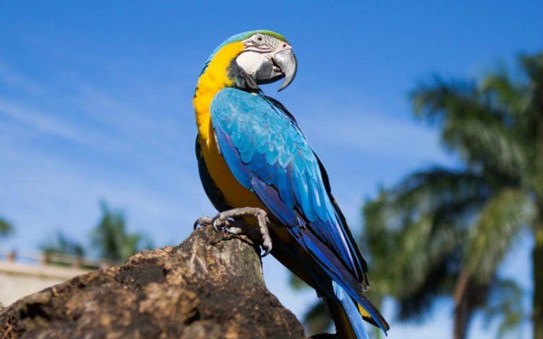 special wildlife encounter-1 special wildlife encounter-1