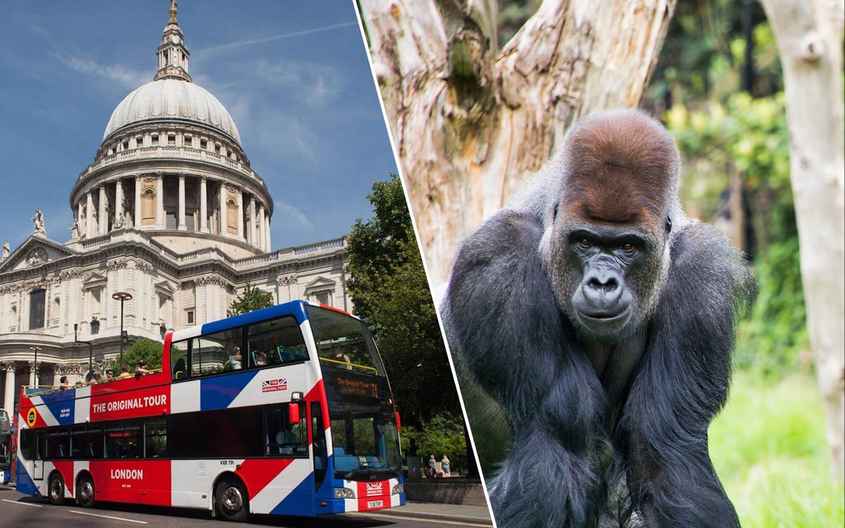 the original tour london 24hr pass + london zoo tickets -1 the original tour london 24hr pass + london zoo tickets -1