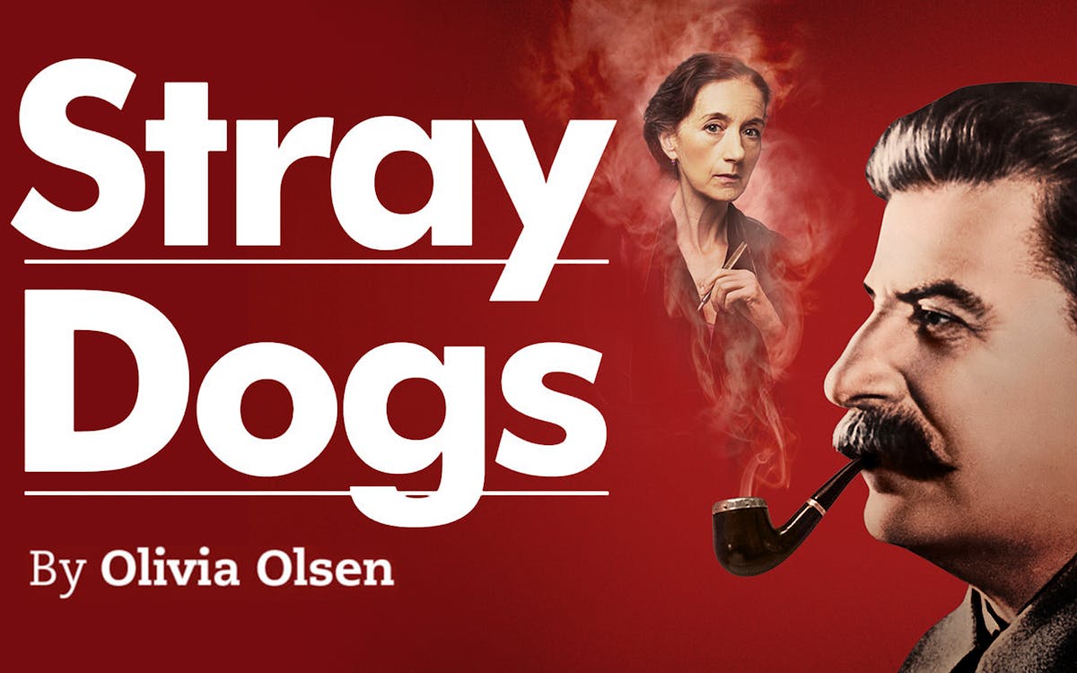 stray dogs-1 stray dogs-1