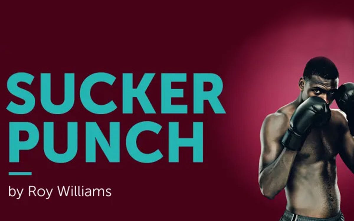 sucker punch-1 sucker punch-1