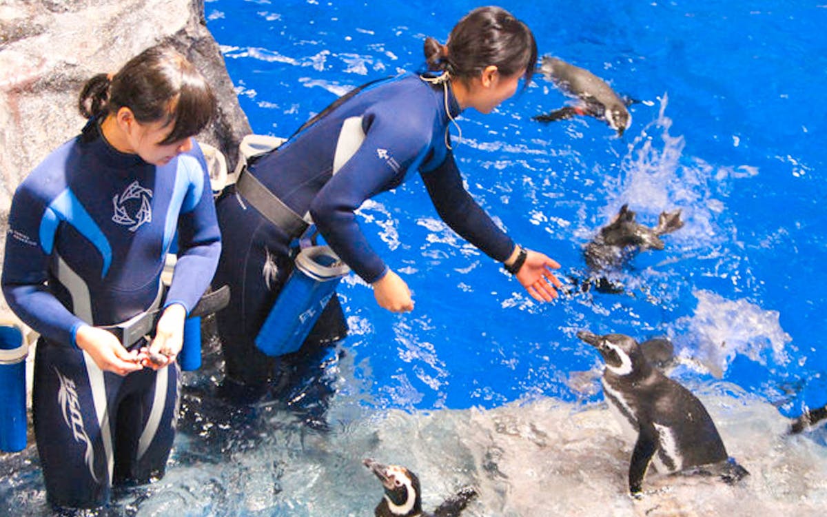 sumida aquarium-1 sumida aquarium-1