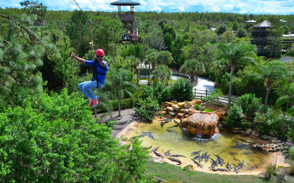 gatorland-1 gatorland-1